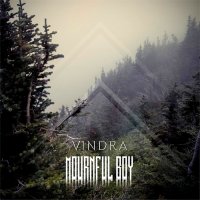 Vindra - Mournful Boy (2015)