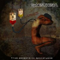 Synesthesia - From Amnesia to Apocalypse (2007)