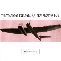 The Teardrop Explodes - Peel Sessions Plus (2007)