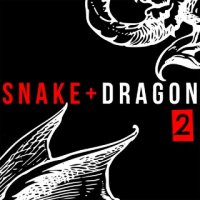 The TCR - Snake & Dragon 2 (2016)