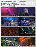 Клип Edguy - Tears Of A Mandrake (Live) HD 720p (2012)