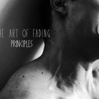 The Art of Fading - PRINCIPLES (2014)