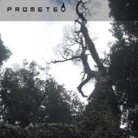 Prometeo - Contact (2016)