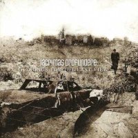 Lacrimas Profundere - Songs for the Last View (2008)  Lossless