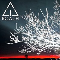 Acid Roach - Grim Dawn (2015)