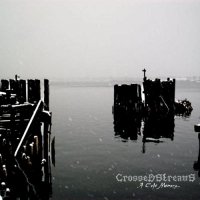 Crossed Streams - A Cold Memory (2013)