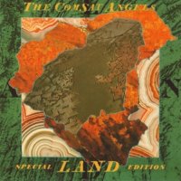 The Comsat Angels - Land (1983)