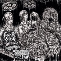 Birth & Parazitozis & Pulsating Cerebral Slime - 3 Way Split (2014)