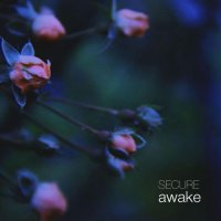 Secure - Awake (2017)