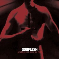 Godflesh - A World Lit Only By Fire [Bonus Edition] (2014)