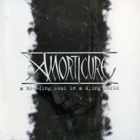 Amorticure - A Bleeding Soul In A Dying World (2010)