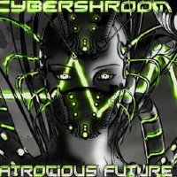 Cybershroom - Atrocious Future (2011)