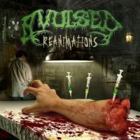 Avulsed - Reanimations (Compilation) (2006)