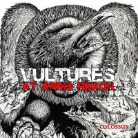 Vultures At Arms Reach - Colossus (2014)