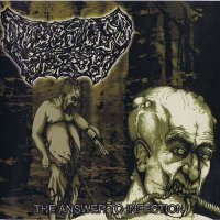 Digested Flesh - The Answer to Infection (2004)  Lossless