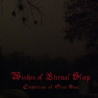 Wishes Of Eternal Sleep - Emptiness Of One\'s Soul (2014)