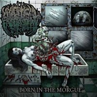 Necroptic Engorgement - Born In The Morgue (2014)