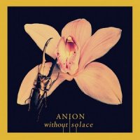 Anion - Without Solace (2013)