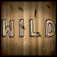 Joe - Wild (2017)