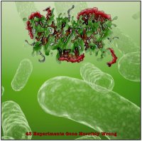 Pseudomonas Aeruginosa - 45 Experiments Gone Horribly Wrong (2014)