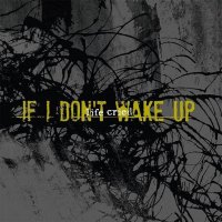 Life Cried - If I Don\'t Wake Up (2015)