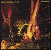 Echo & The Bunnymen - Crocodiles (Reissue) (1980)