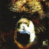 Element Eighty - The Bear (2005)