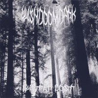 Wishdoomdark - Winter Lost (2012)