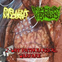 Purulent Mudbath & Pulmonary Fibrosis - 2 Way Pathological Warfare (Split) (2013)  Lossless