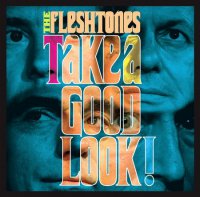 The Fleshtones - Take A Good Look! (2008)  Lossless