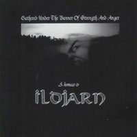 VA - Gathered Under The Banner of Strength and Anger (Ildjarn Tribute) (2004)  Lossless