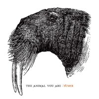 Sumer - The Animal You Are (2014)