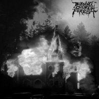 Burning Church Forest - Book 2 (2009)