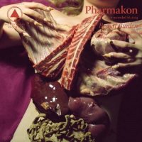 Pharmakon - Bestial Burden (2014)