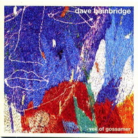 Dave Bainbridge - Veil of Gossamer (2004)