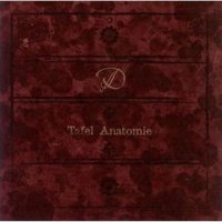 D - Tafel Anatomie (2006)