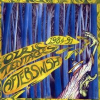 Ozric Tentacles - Afterswish (1991)
