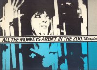 New Age - All The Monkeys Aren\'t In The Zoo, Maryloo (1982)