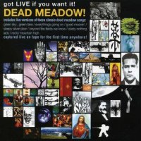 Dead Meadow - Got Live If You Want It! (2002)