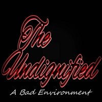 The Undignified - A Bad Enviroment (2016)