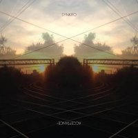 Synkro - Acceptance (2013)