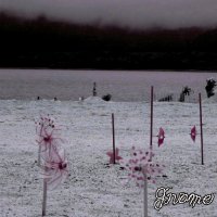 Gnome - Silent Scream (2012)