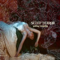 Sleep Terror - Probing Tranquility (2006)  Lossless