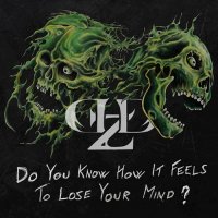 Demolized - Do You Know How It Feels To Lose Your Mind? (2016)