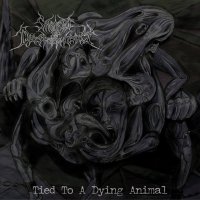 Shroud Of Despondency - Tied To A Dying Animal [2 CD] (2013)