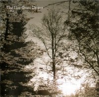 The New Grove Project - Brill (2005)  Lossless