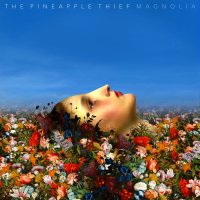 The Pineapple Thief - Magnolia (2014)