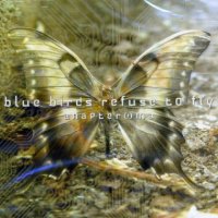 Blue Birds Refuse To Fly - Anapteroma (2004)