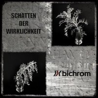 Bichrom - Schatten Der Wirklichkeit (2012)