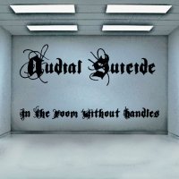 Audial Suicide - In The Room Without Handles (2010)